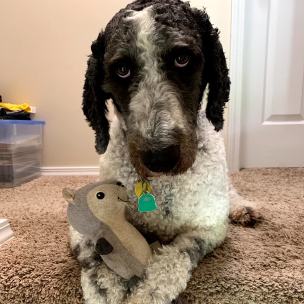 Meet your Posher, Sophia